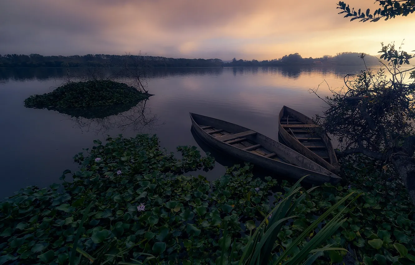 Фото обои туман, река, лодки, утро