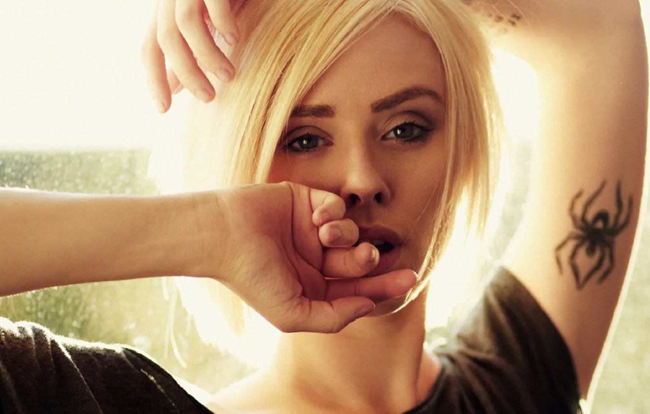 Фото обои взгляд, девушка, паук, тату, зеленые глаза, Alysha Nett