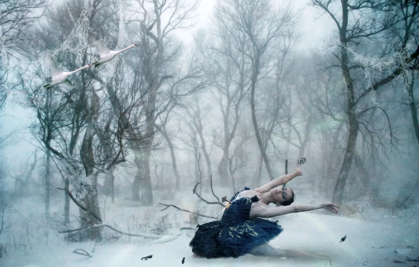Фото обои зима, лес, девушка, птицы