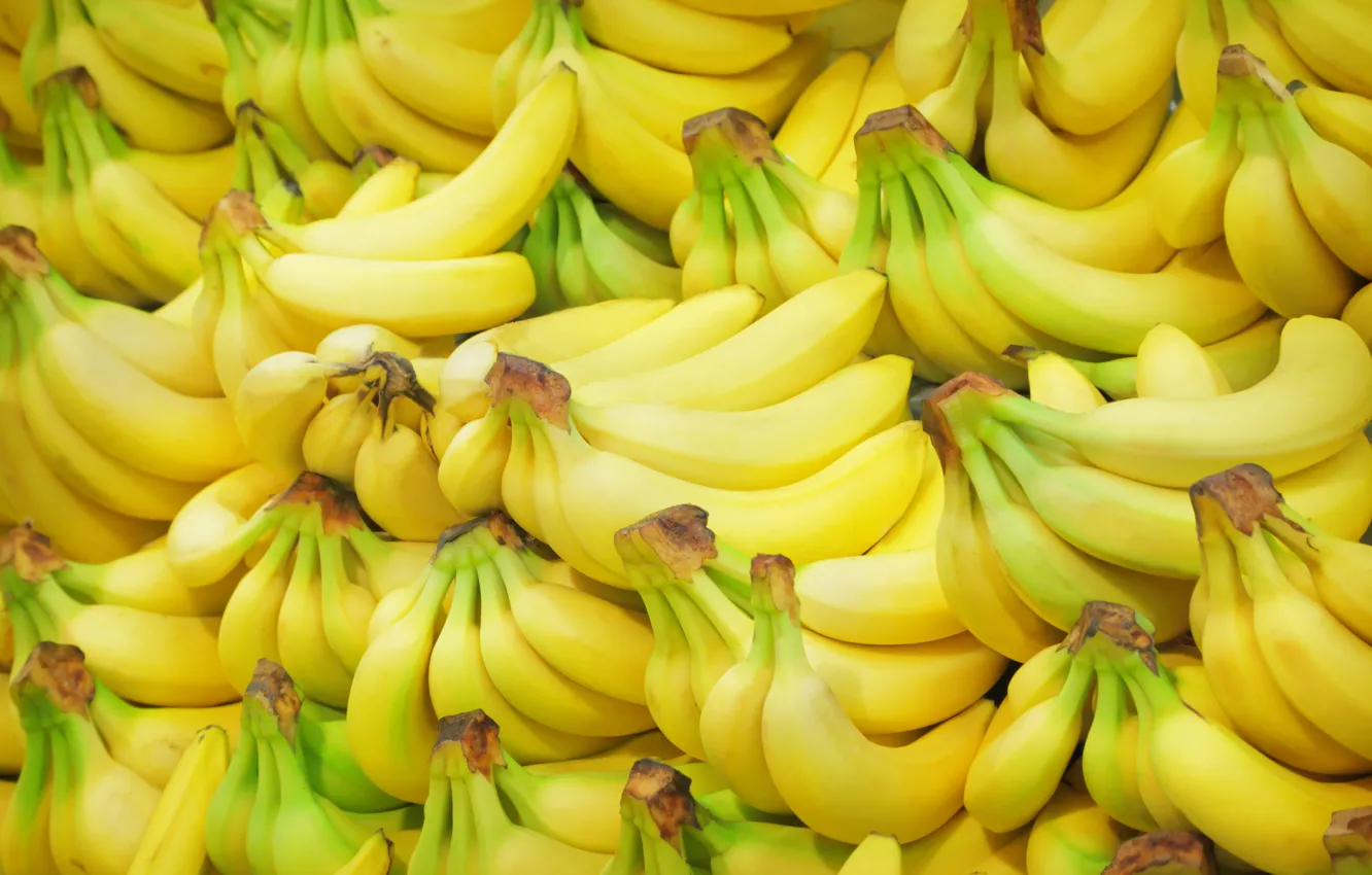 Фото обои текстура, бананы, фрукты, много, Fruit, Bananas