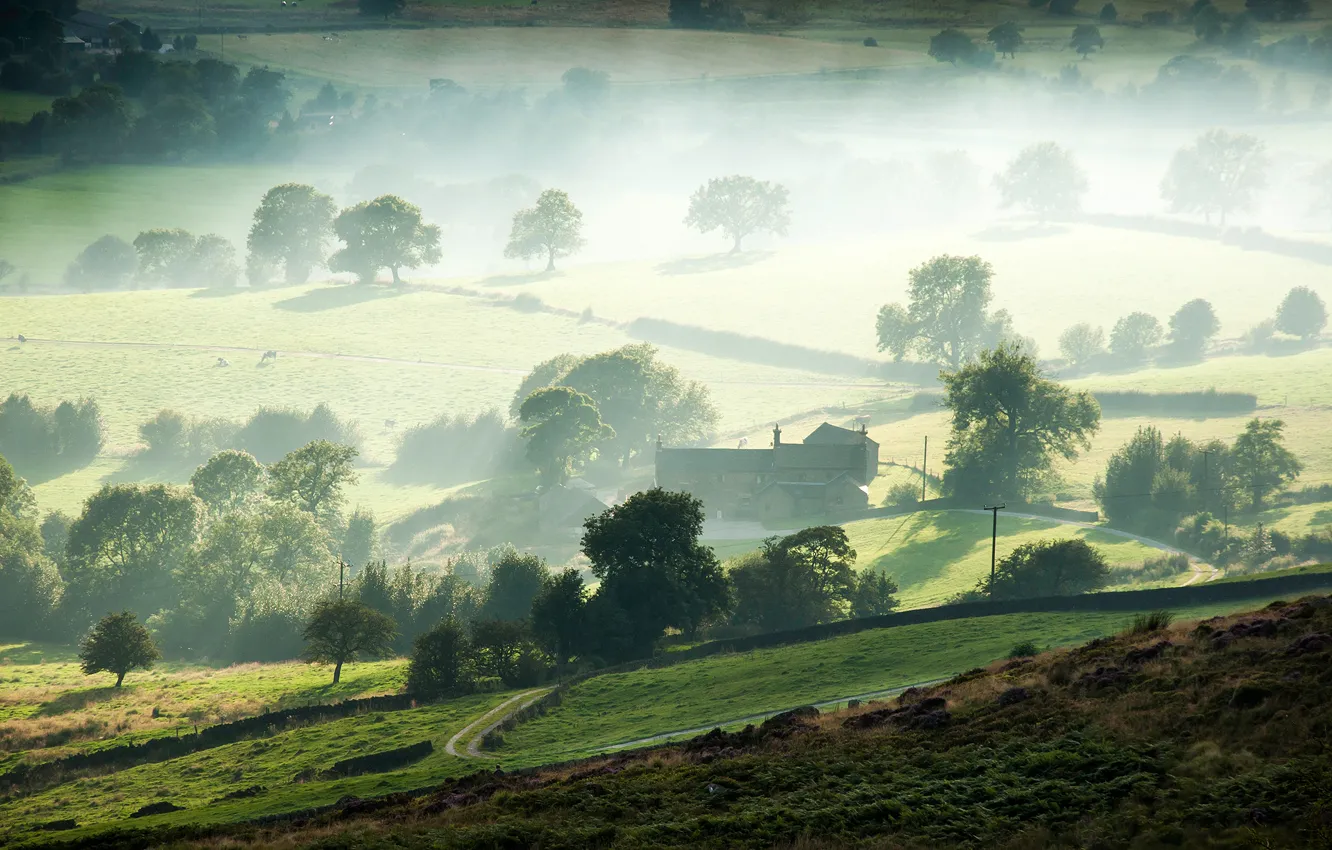 Фото обои деревья, туман, утро, долина, ферма