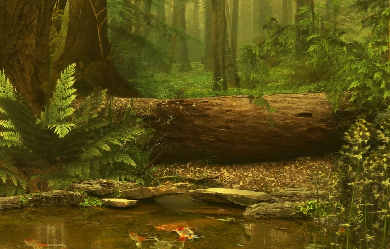 Фото обои лес, вода, рыбки, дерево, папоротник