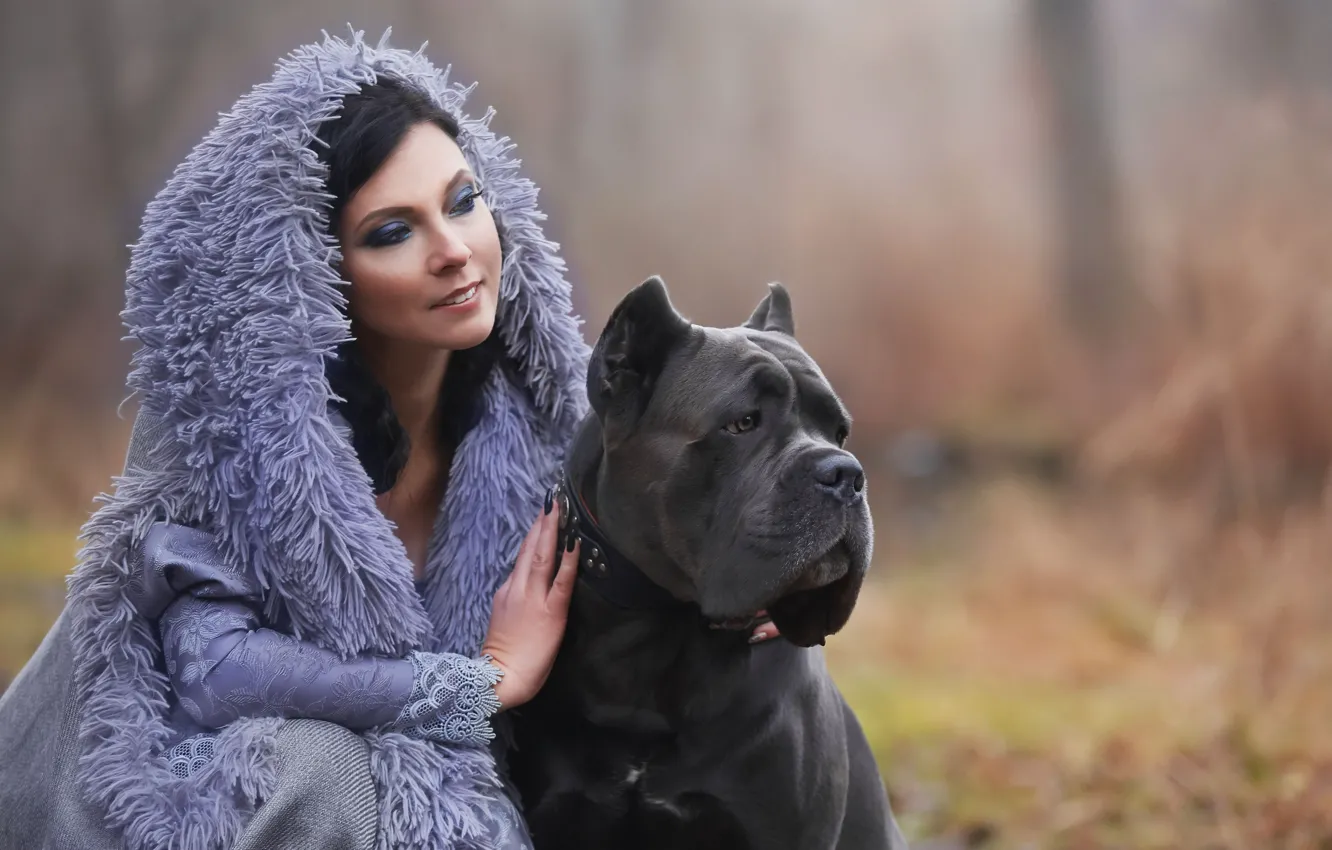 Фото обои девушка, собака, боке, кане-корсо, Оксана Сироштан
