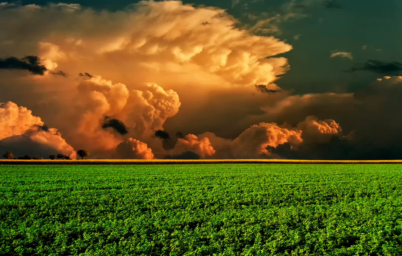 Фото обои поле, небо, облака, горизонт