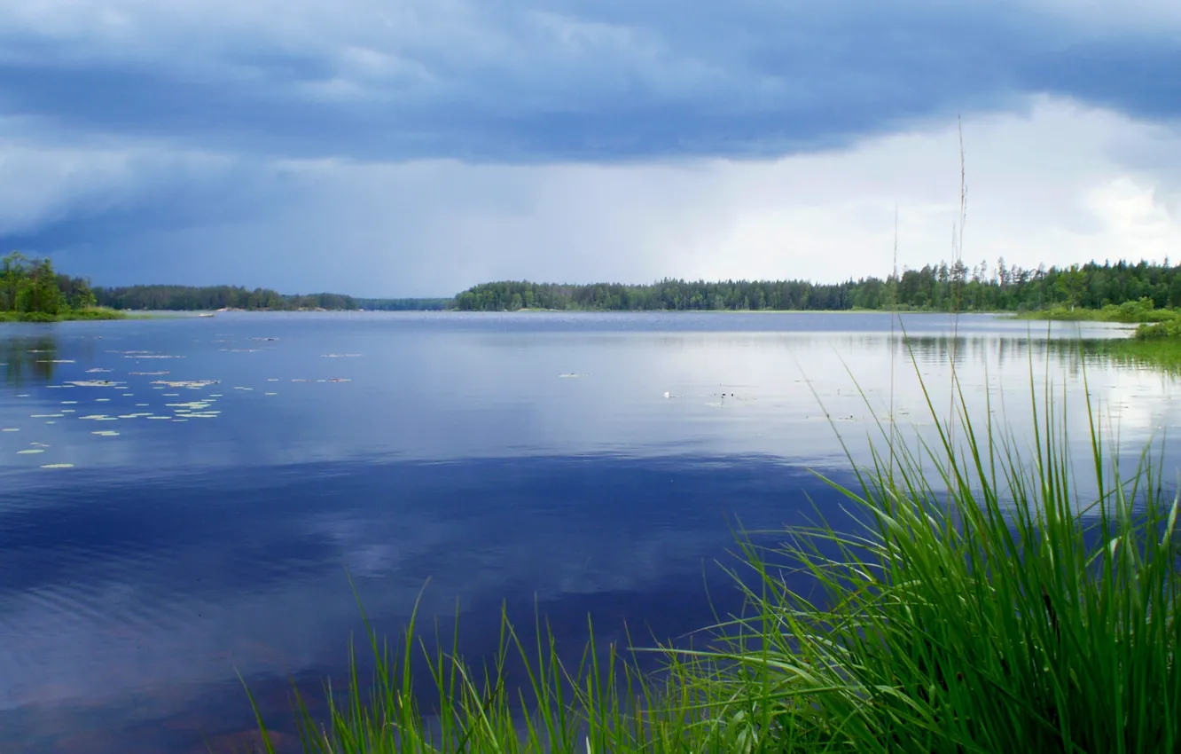 Фото обои вода, деревья, природа, озеро, лето. небо