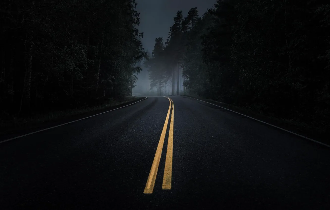 Фото обои дорога, лес, асфальт, туман, сумерки