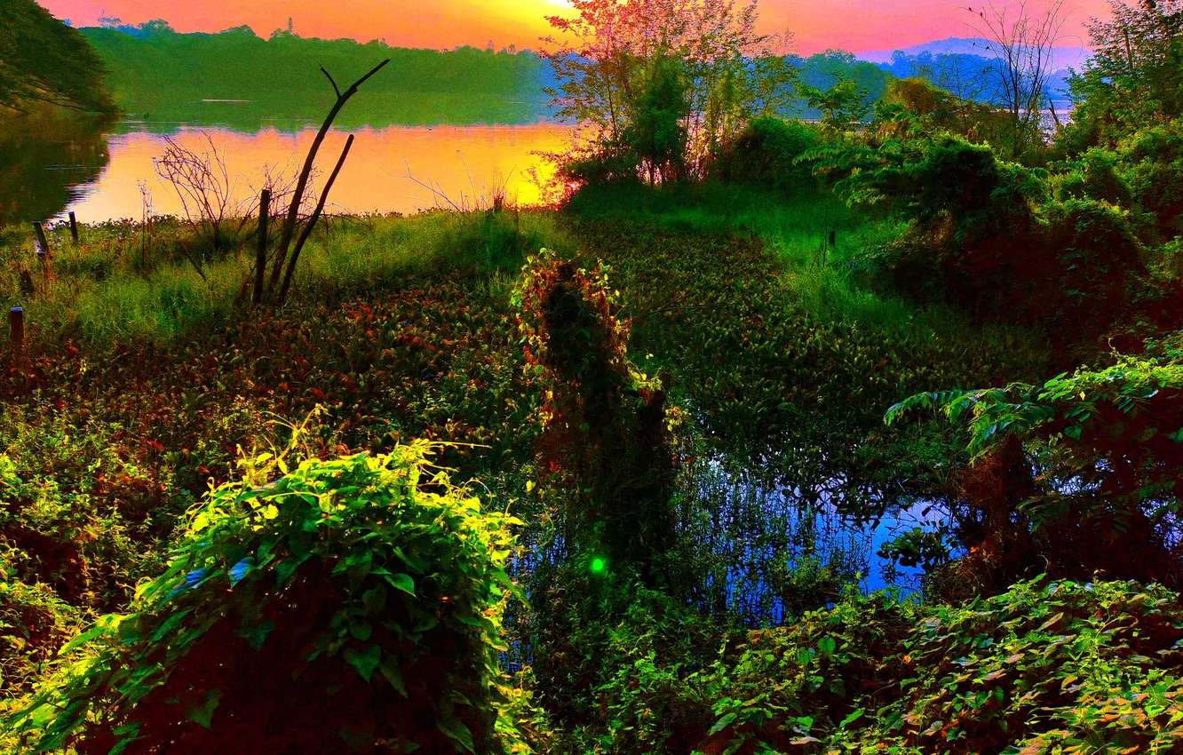 Фото обои Sky, Grass, Sun, Water, Dawn, Morning, Lake, Trees