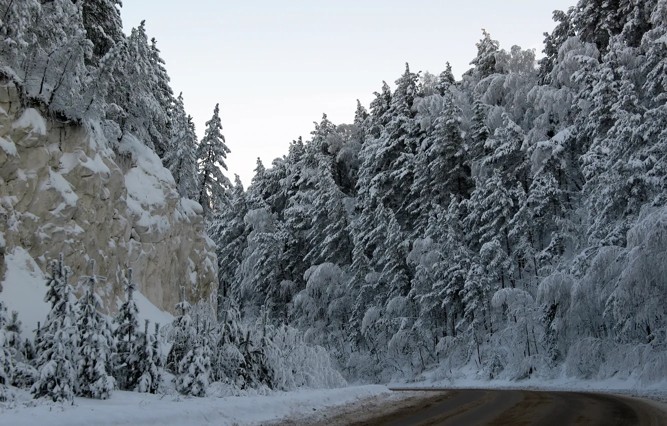 Фото обои зима, дорога, деревья, горы