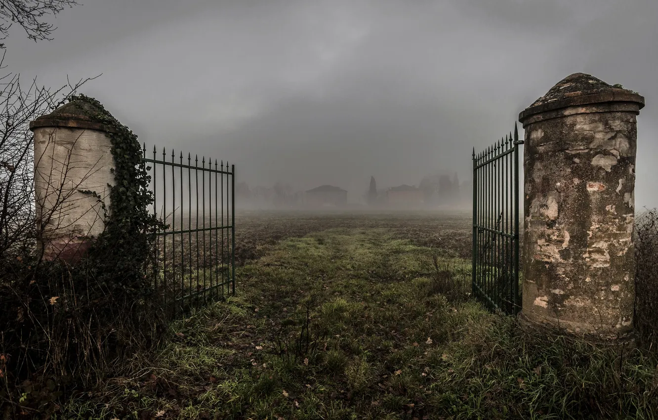 Фото обои поле, туман, ворота