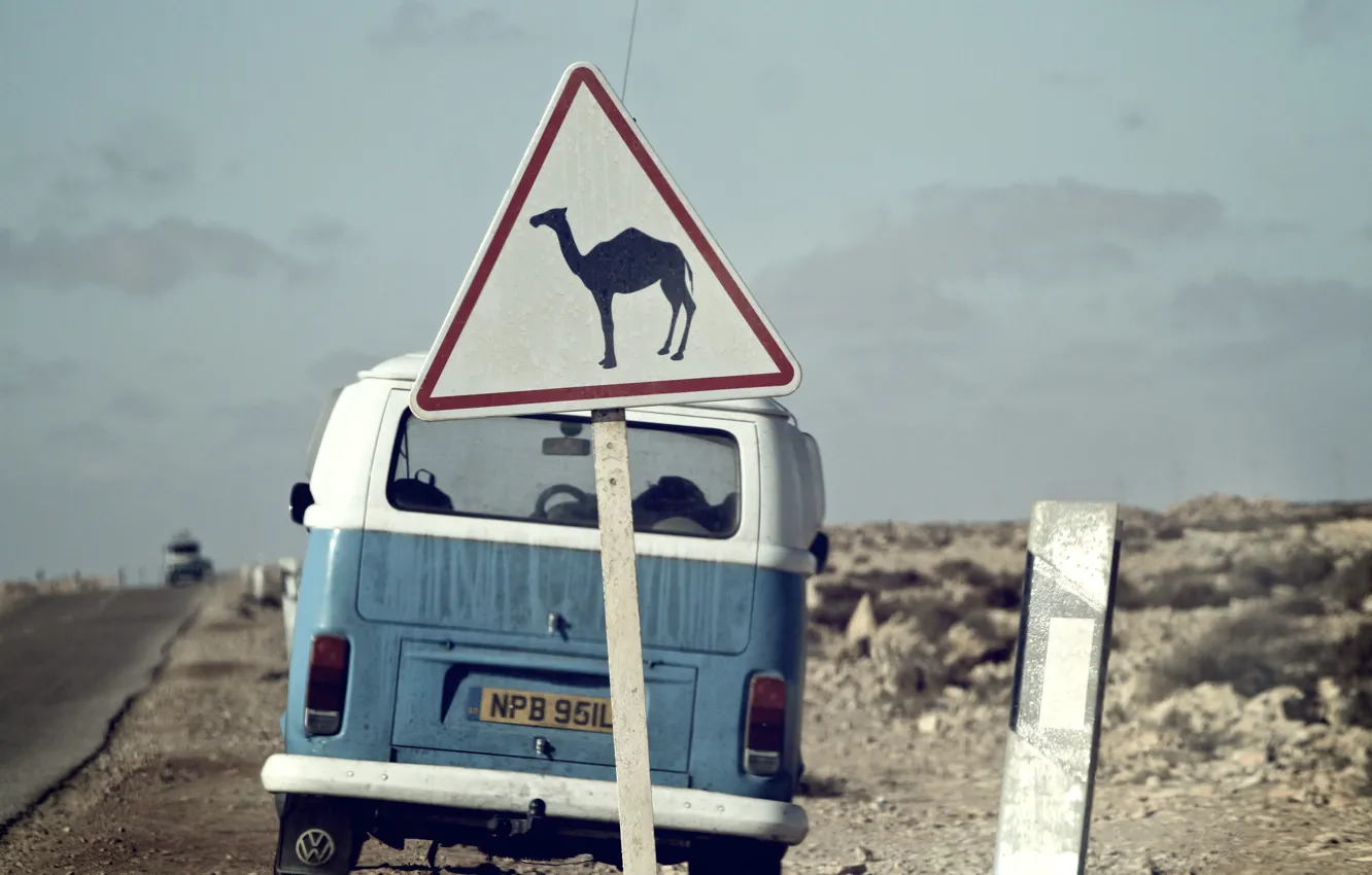 Фото обои дорога, небо, облака, знак, пустыня, Volkswagen, верблюд, сзади