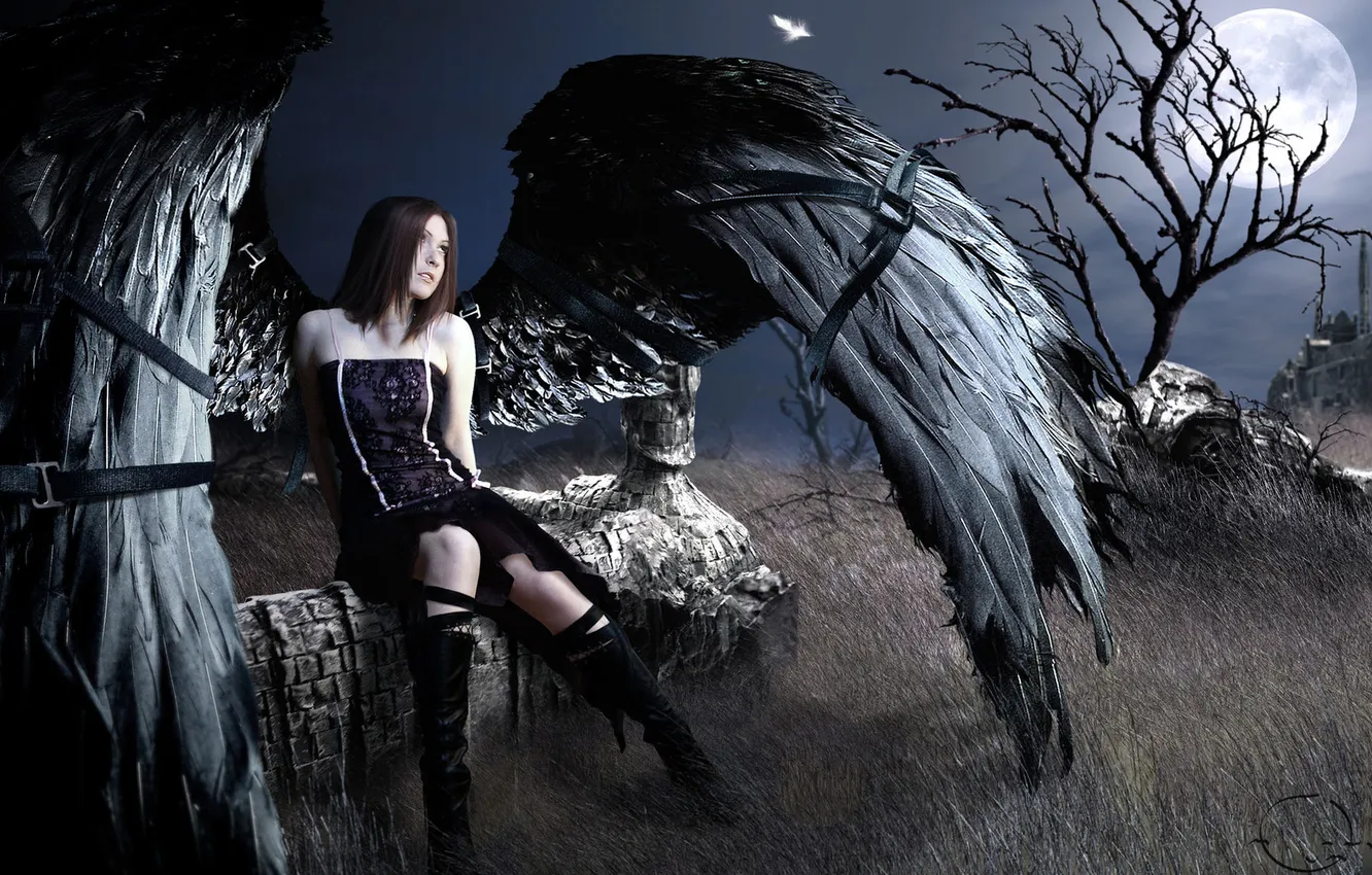 Фото обои дерево, перо, луна, Девушка, крылья