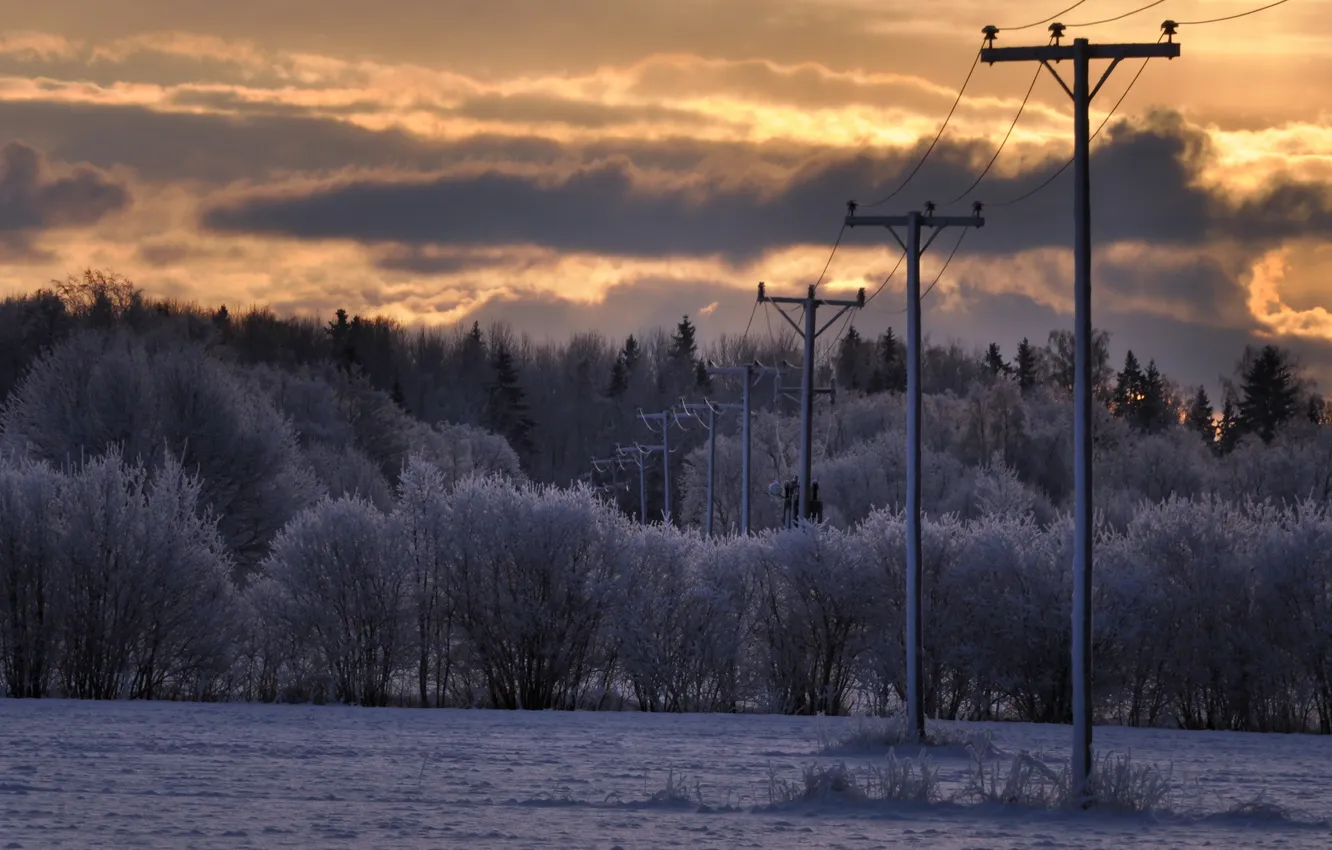 Фото обои зима, поле, природа, утро, лэп