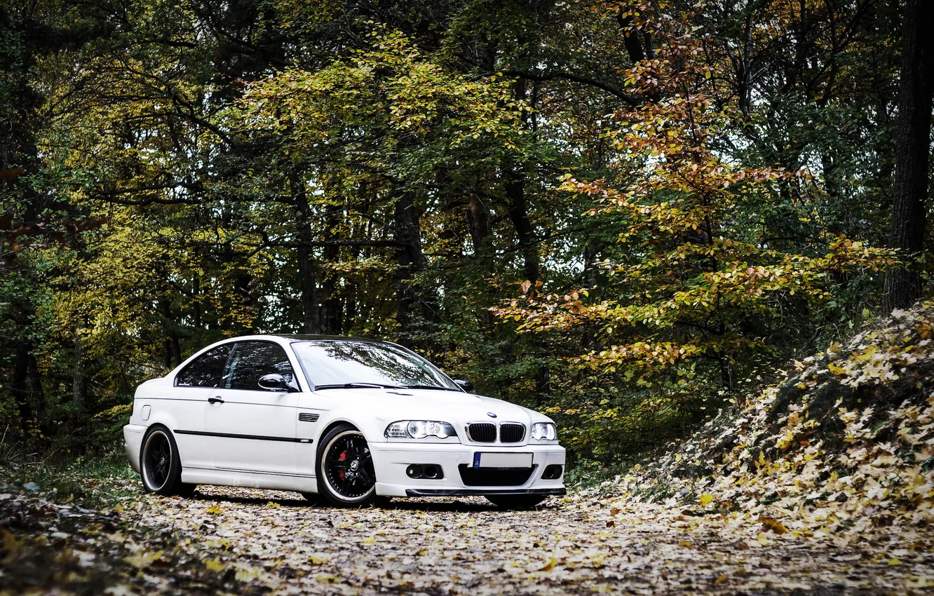 Фото обои осень, листья, BMW, white, E46