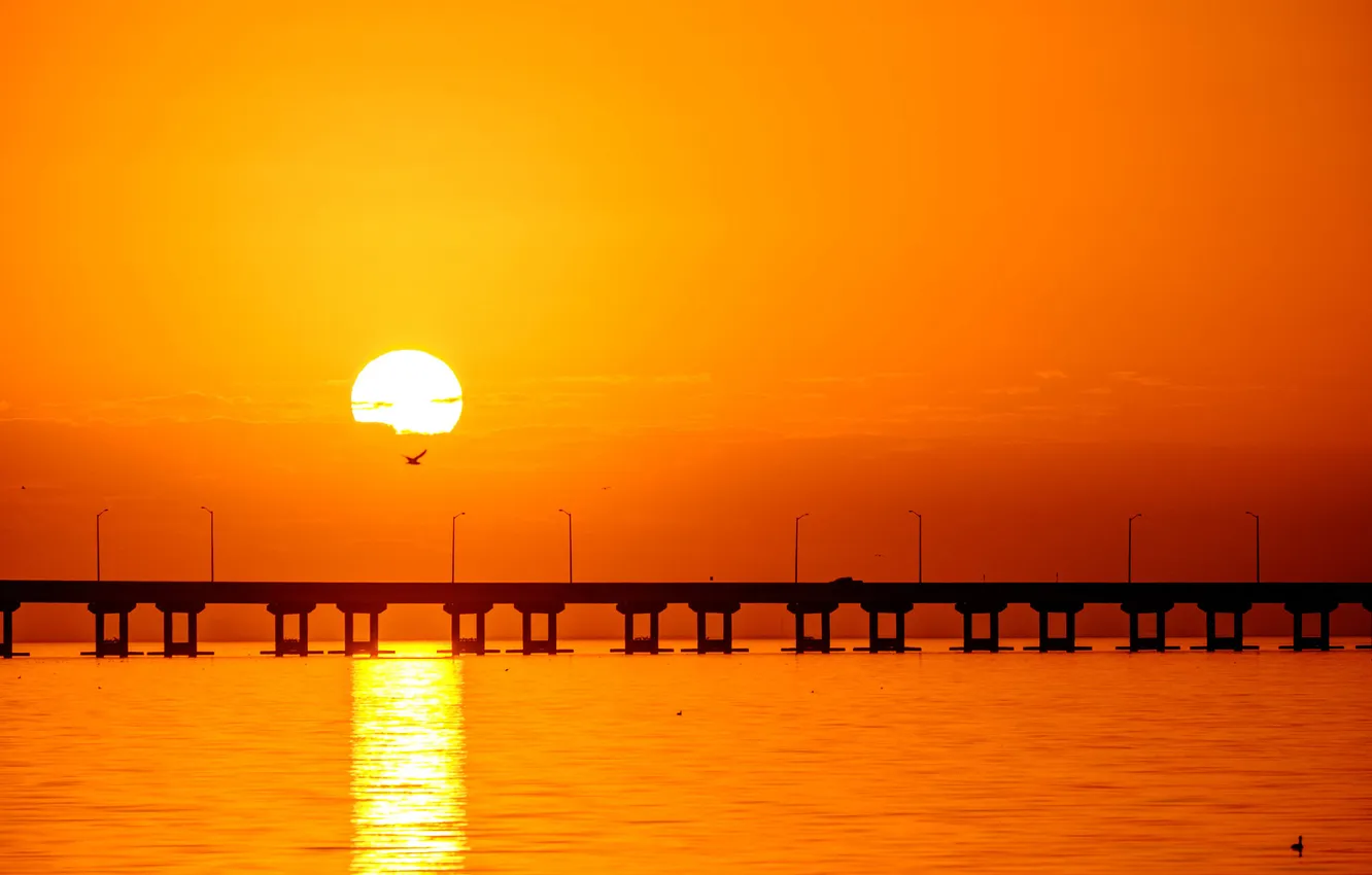Фото обои закат, птицы, мост, солнечный, лагуны