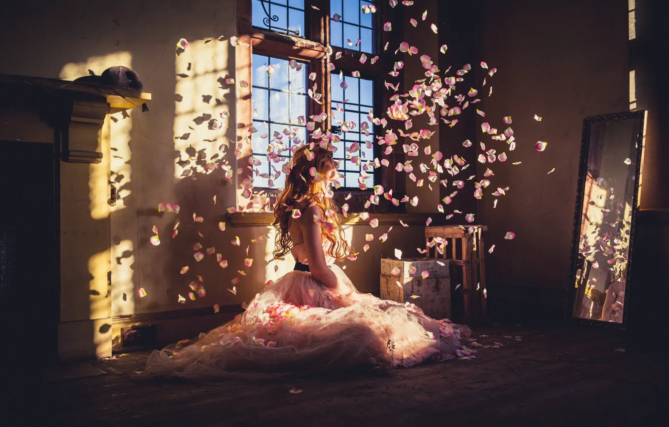 Фото обои девушка, свет, комната, лепестки, платье, зеркало, окно, на полу