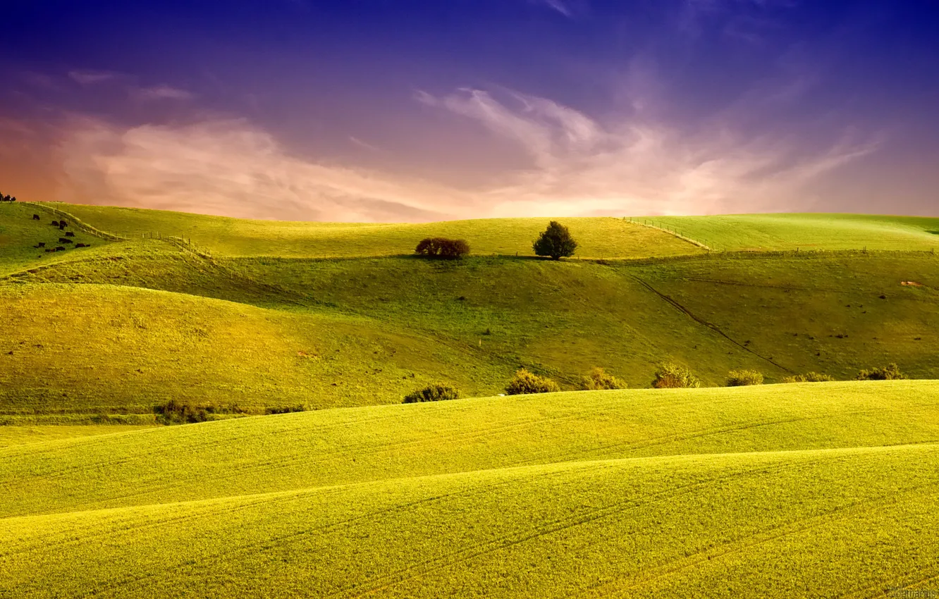 Фото обои поле, небо, трава, пейзаж, природа, холмы, поля
