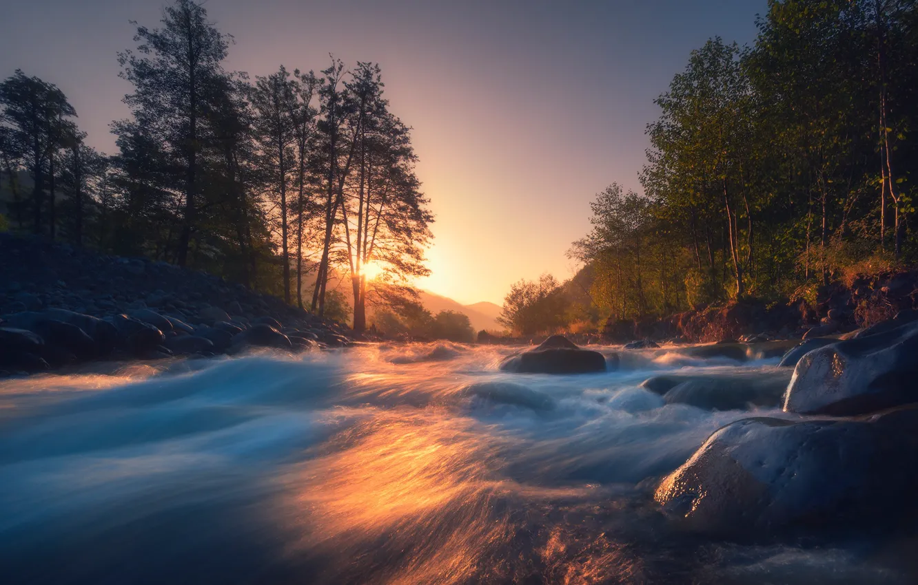 Фото обои деревья, река, восход, рассвет, поток
