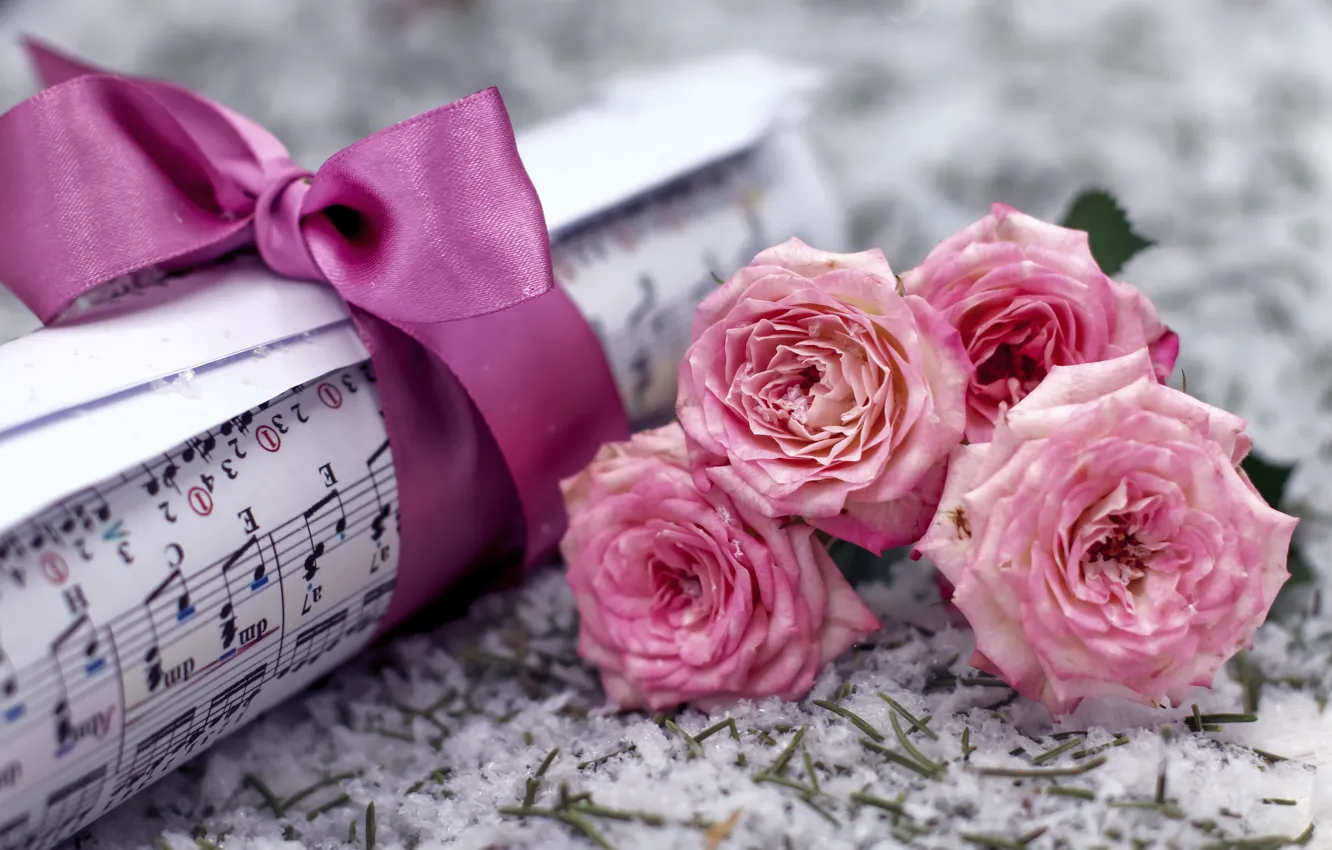 Фото обои снег, цветы, ноты, музыка, розы, букет, розовые, бант