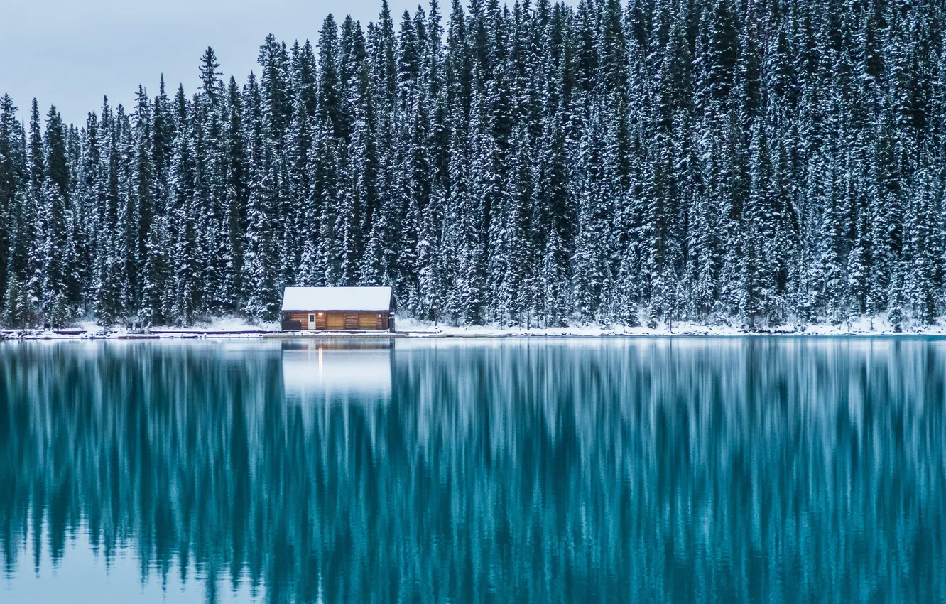 Фото обои зима, иней, лес, снег, природа, озеро, отражение, берег