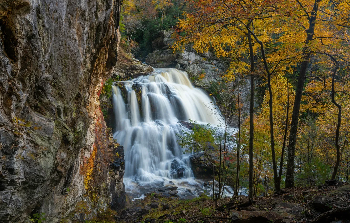 Фото обои осень, деревья, скала, водопад, каскад, North Carolina, Северная Каролина, Nantahala National Forest