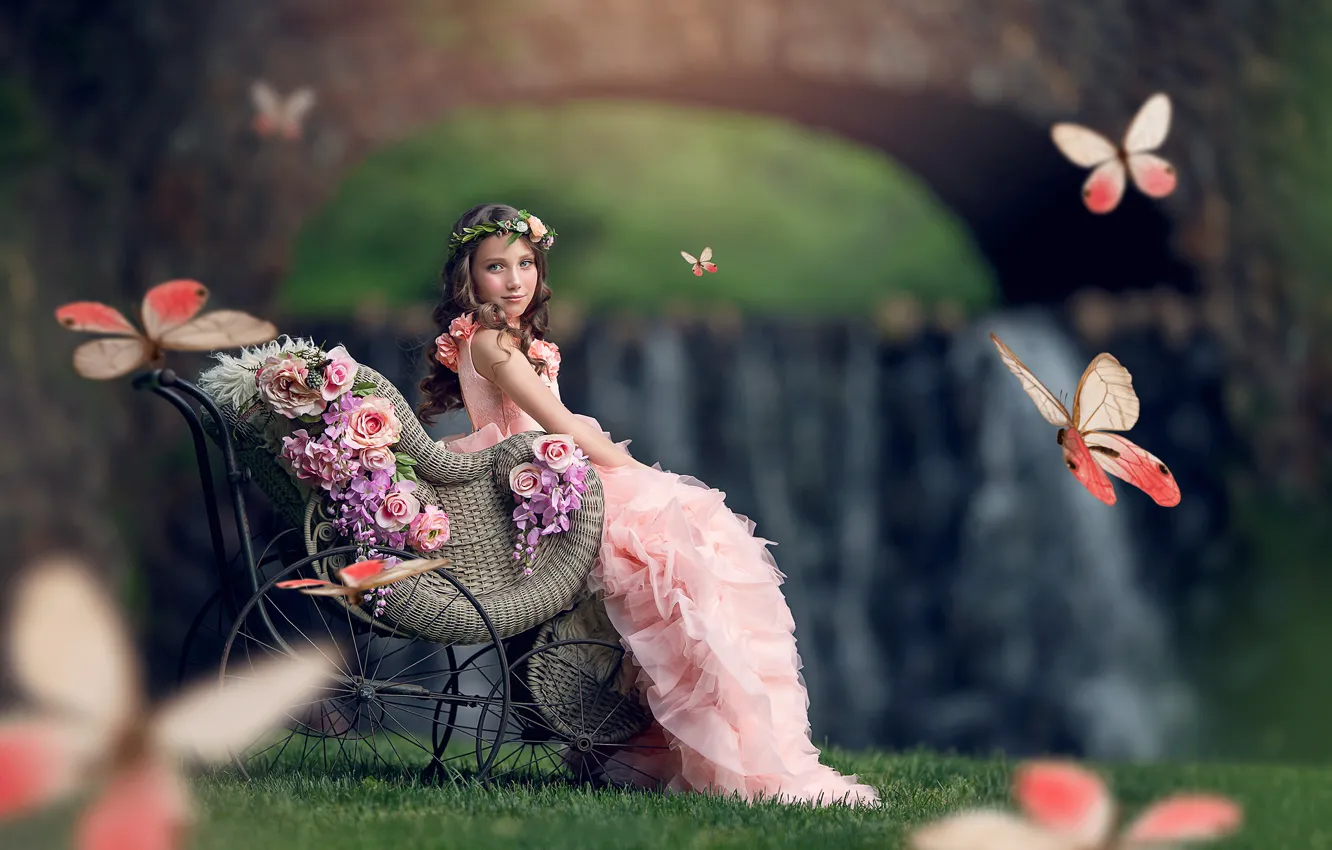 Фото обои бабочки, цветы, платье, девочка, коляска