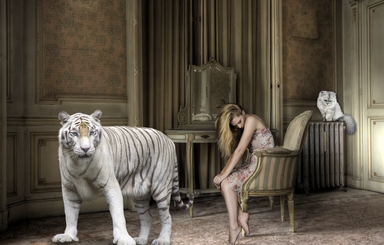 Фото обои кошка, девушка, тигр, комната