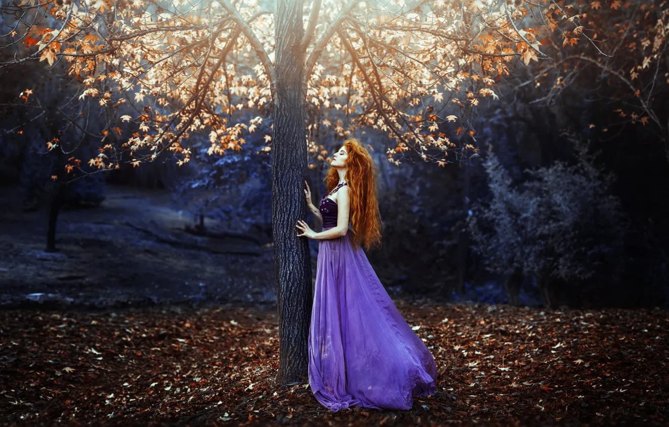 Фото обои осень, листья, девушка, дерево, платье, Ronny Garcia, Prelude of light
