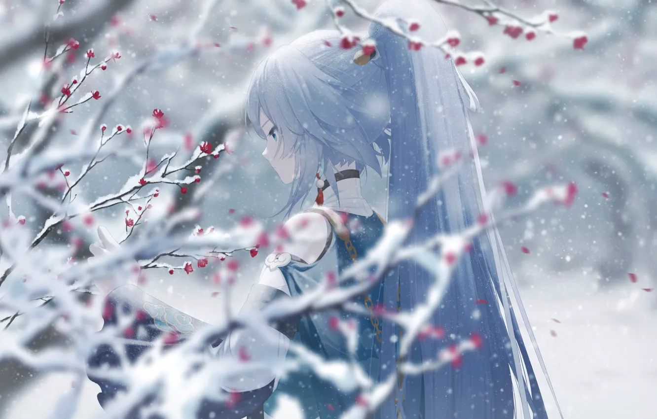 Фото обои девушка, снег, цветы, ветки, Honkai Impact 3