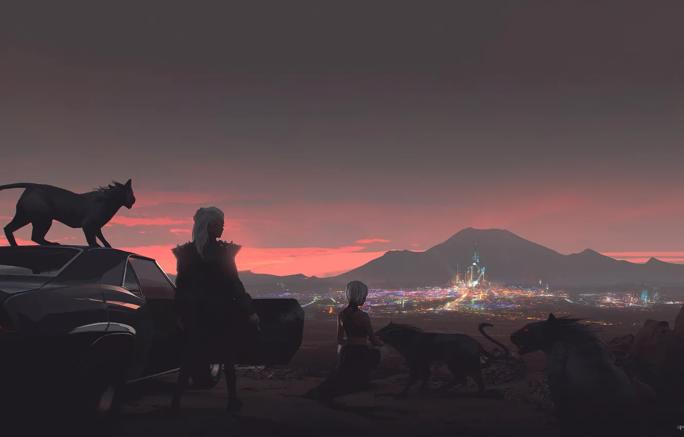 Фото обои car, машина, авто, кошка, девушка, пейзаж, закат, city