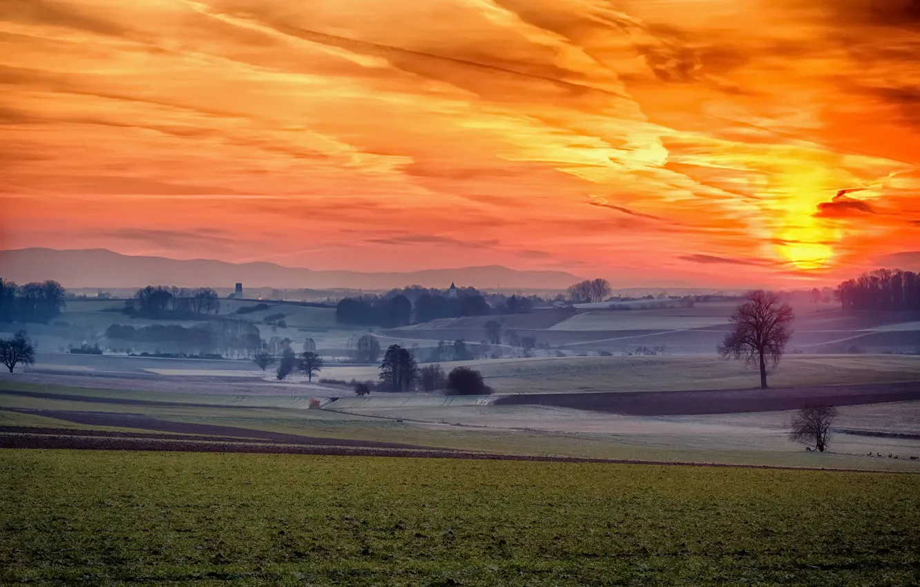 Фото обои поле, туман, утро