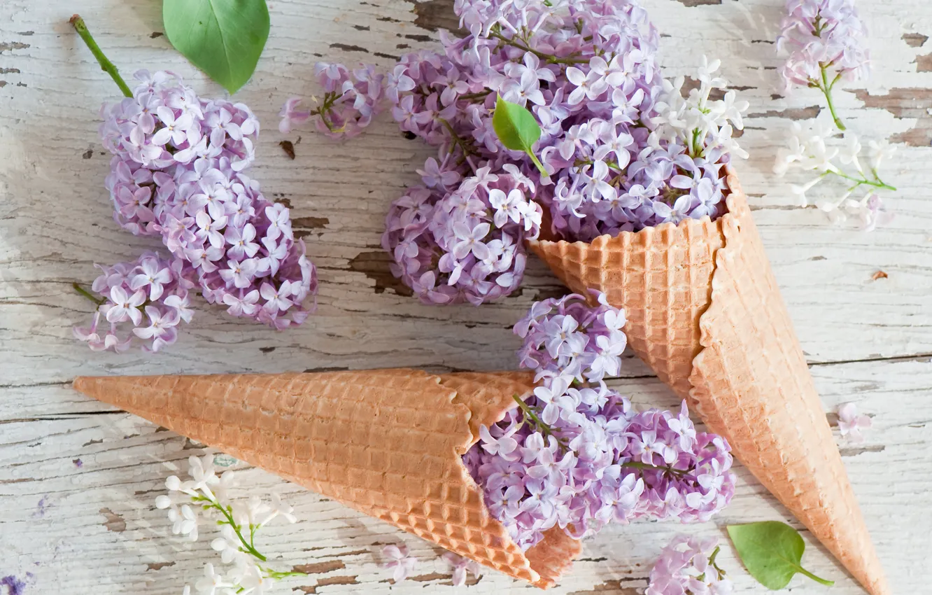 Фото обои цветы, flowers, сирень, lilac, вафельный рожок, waffle cones