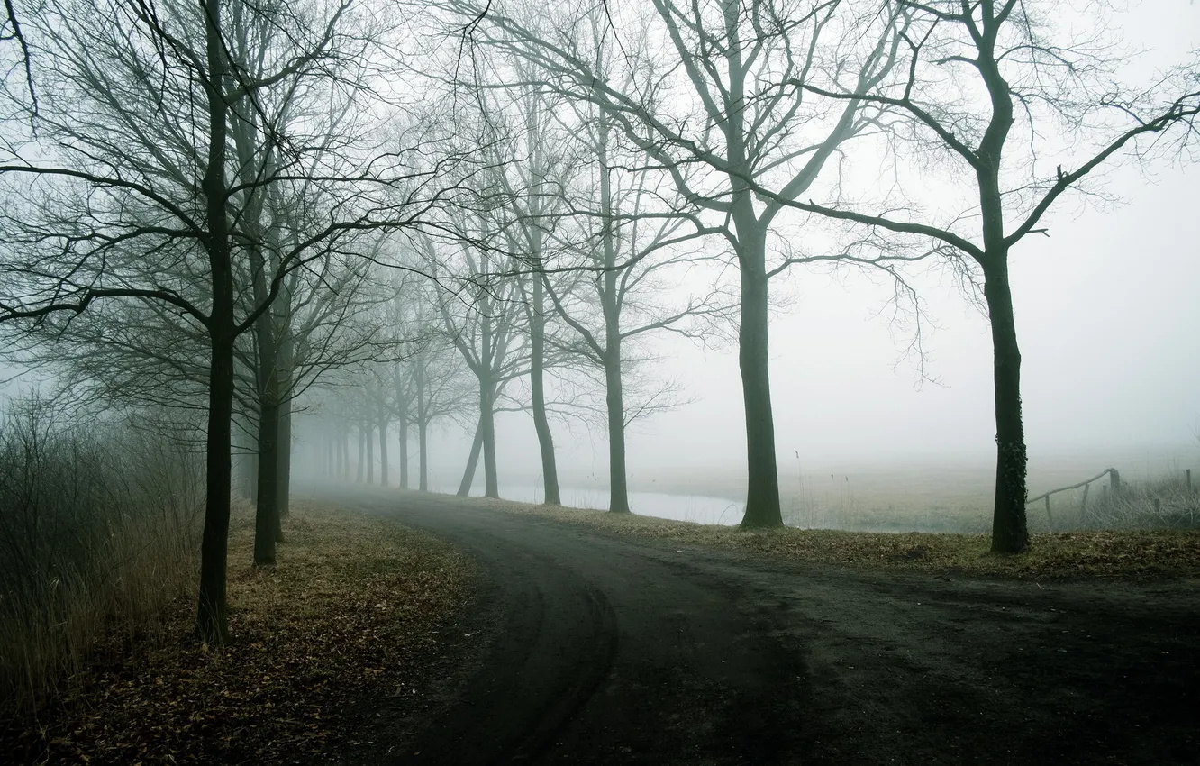 Фото обои дорога, пейзаж, туман