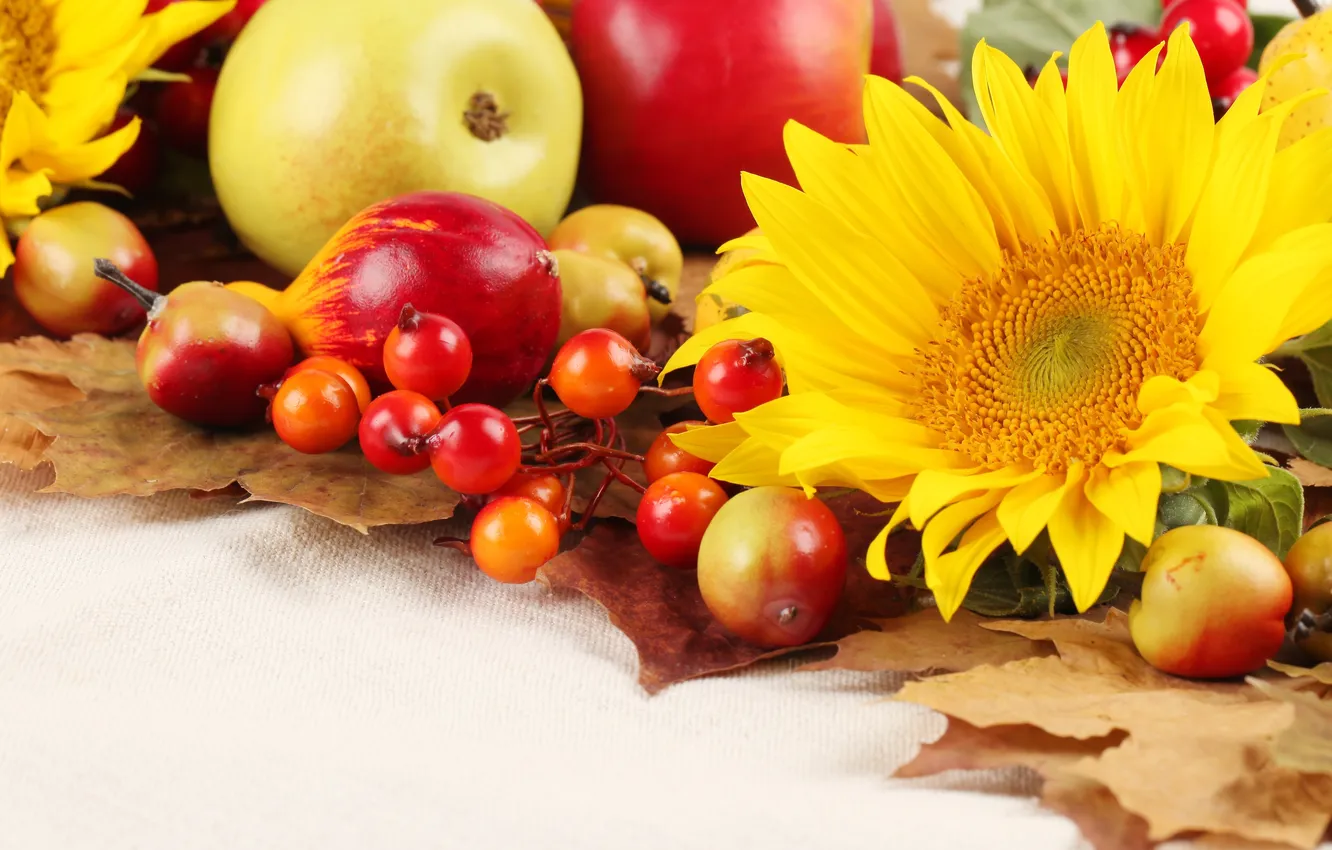 Фото обои осень, листья, подсолнухи, яблоки, фрукты