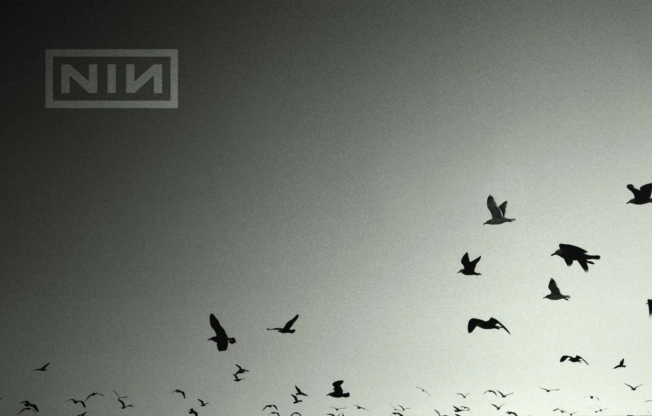 Фото обои птицы, музыка, music, birds, nin, nine inch nails