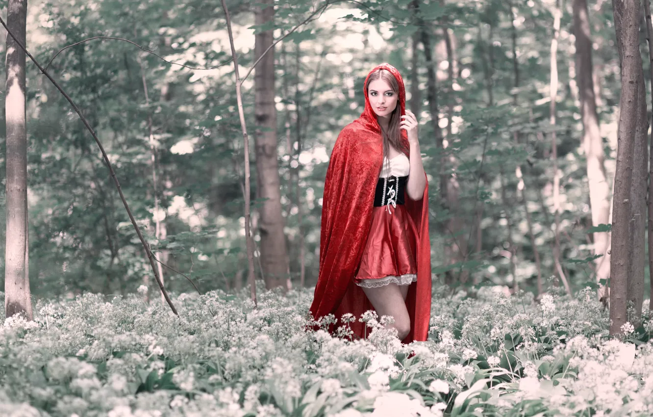 Фото обои лес, красная шапочка, Red Riding Hood, Cosplay