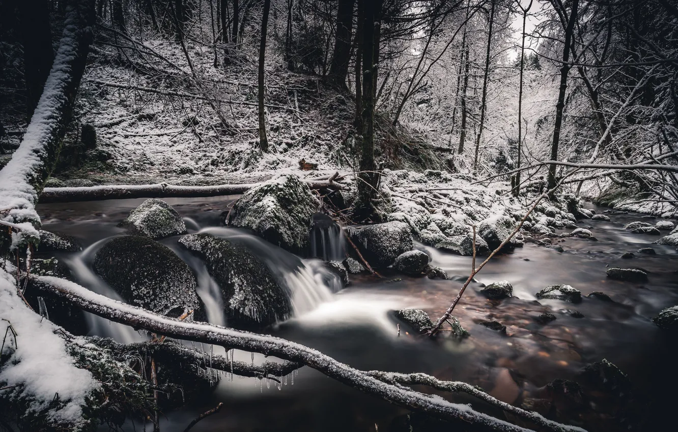 Фото обои зима, лес, снег, речка, frozen, Scotland, Perthshire