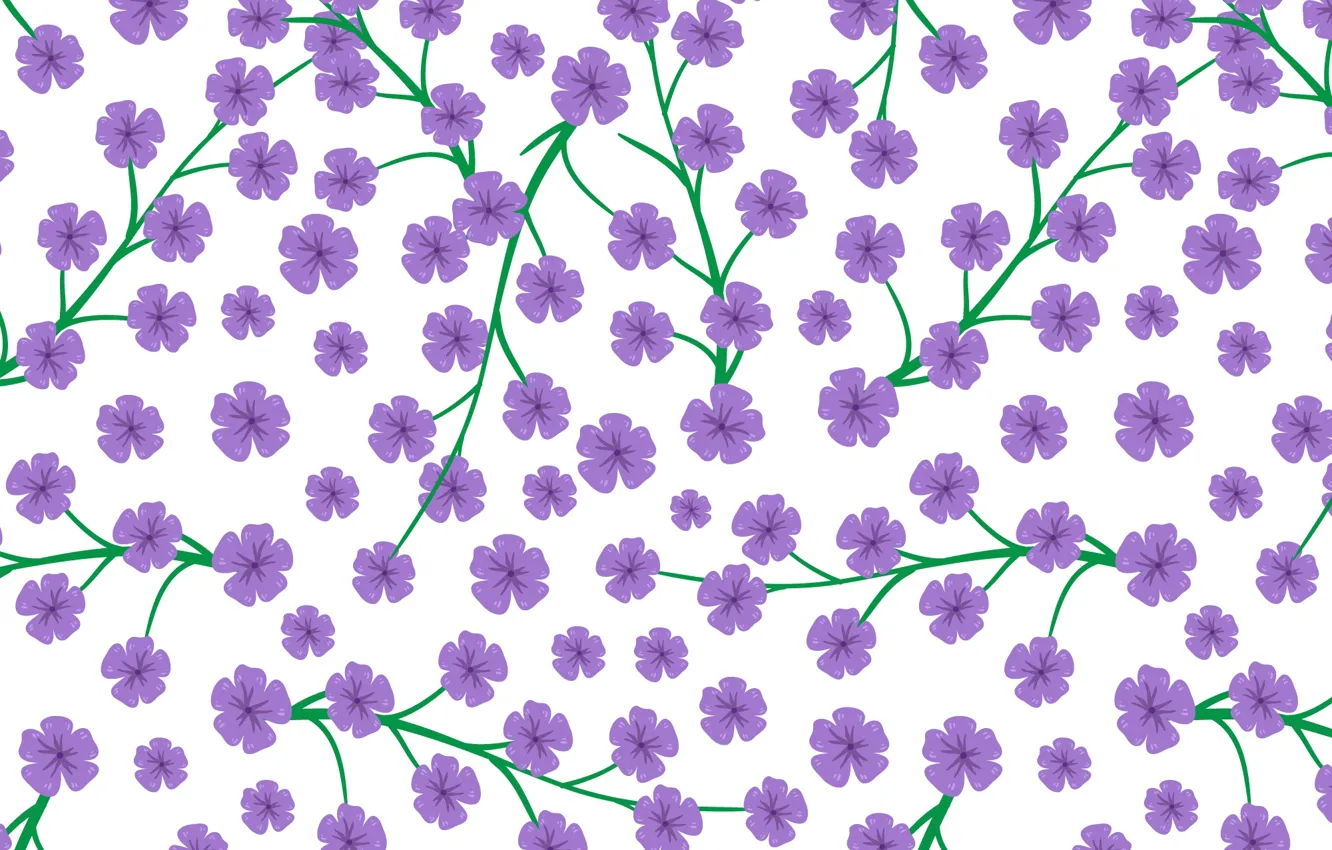 Фото обои цветы, white, flowers, background, pattern, purple