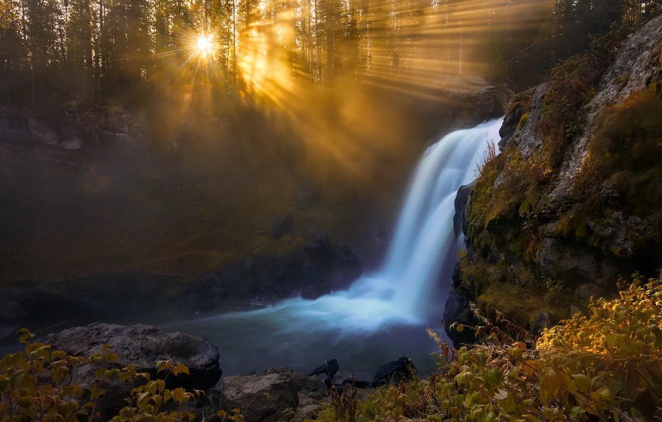Фото обои свет, река, водопад, утро