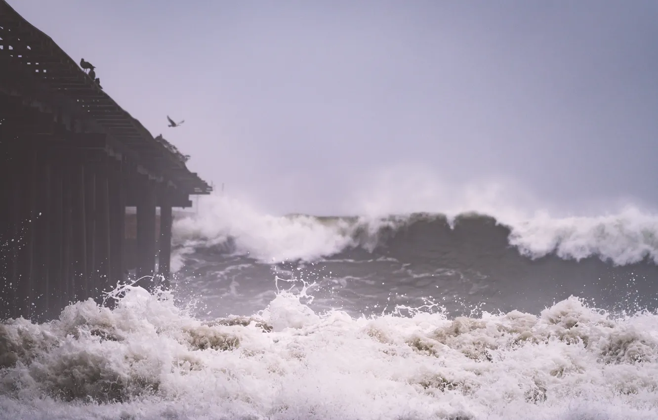 Фото обои waves, storm, pier