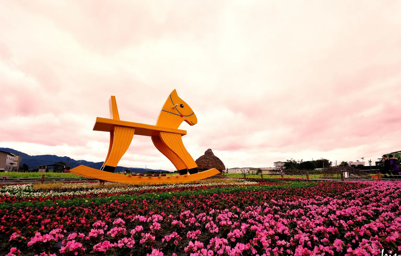 Фото обои пейзаж, цветы, лошадка