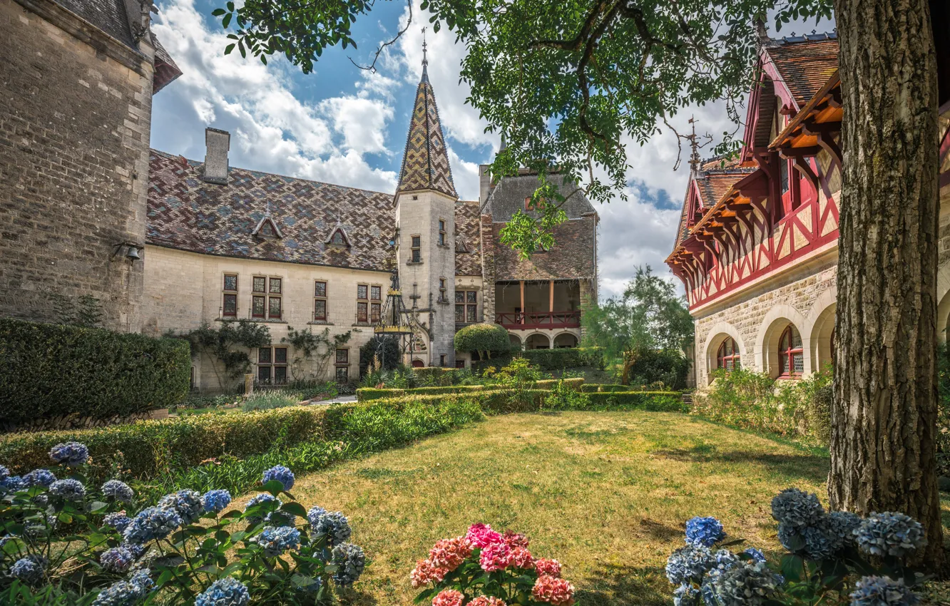 Фото обои цветы, замок, Франция, сад, France, гортензия, Бургундия, Burgundy
