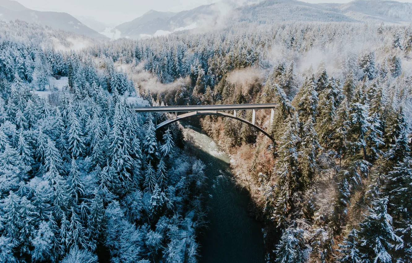 Фото обои лес, снег, деревья, мост, река, пар, леса