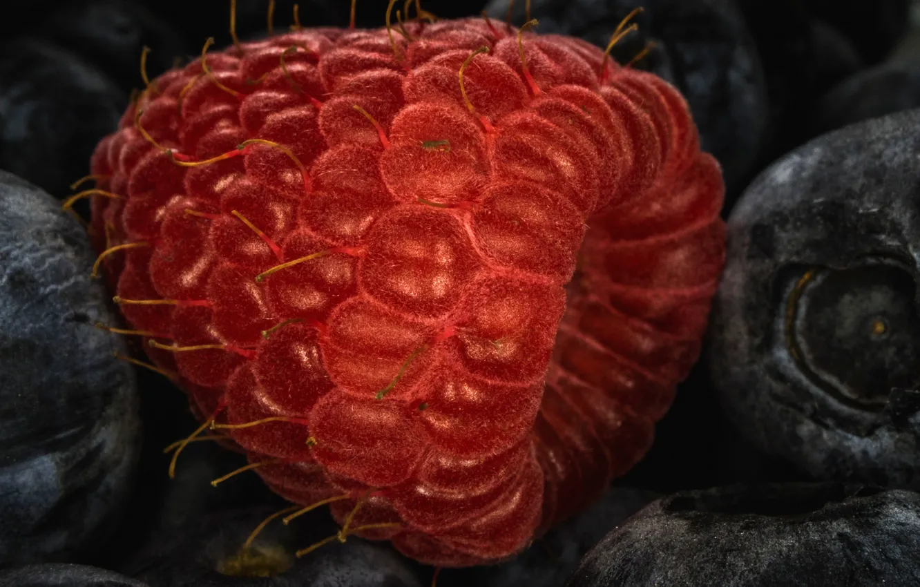 Фото обои ягоды, малина, еда