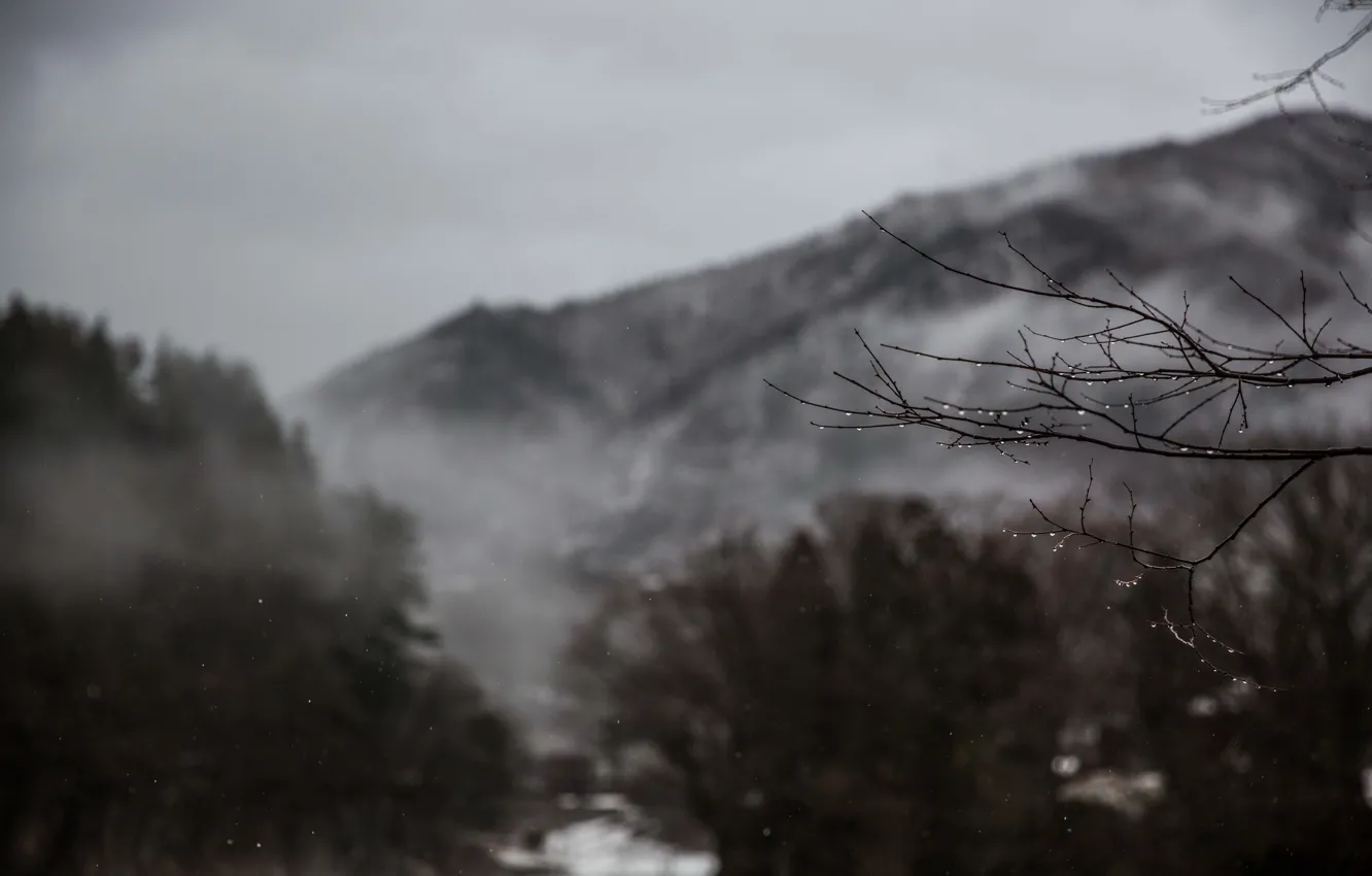 Фото обои winter, mountain, fog