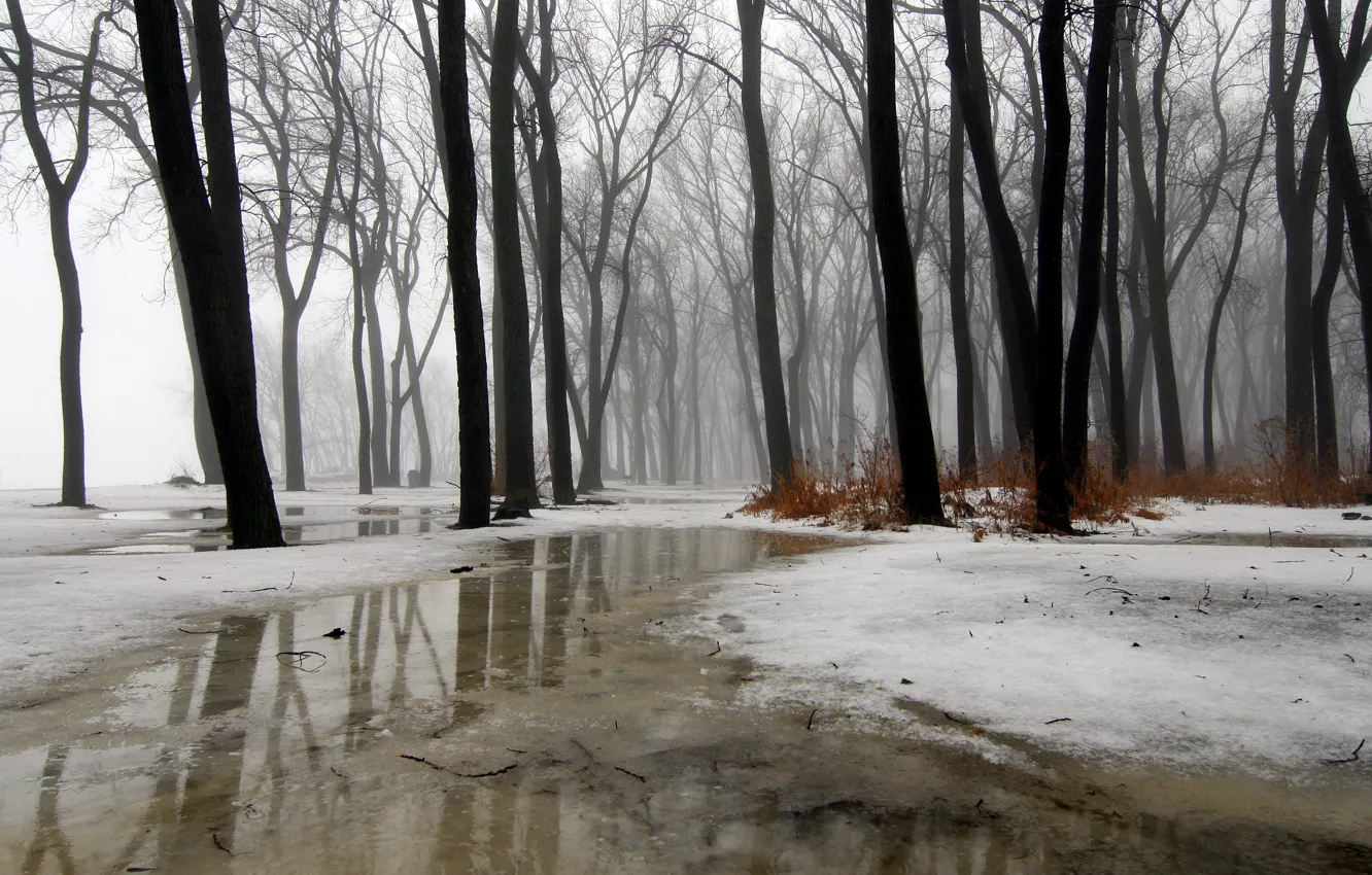 Фото обои ice, rain, water, snow, fog, Wintermission