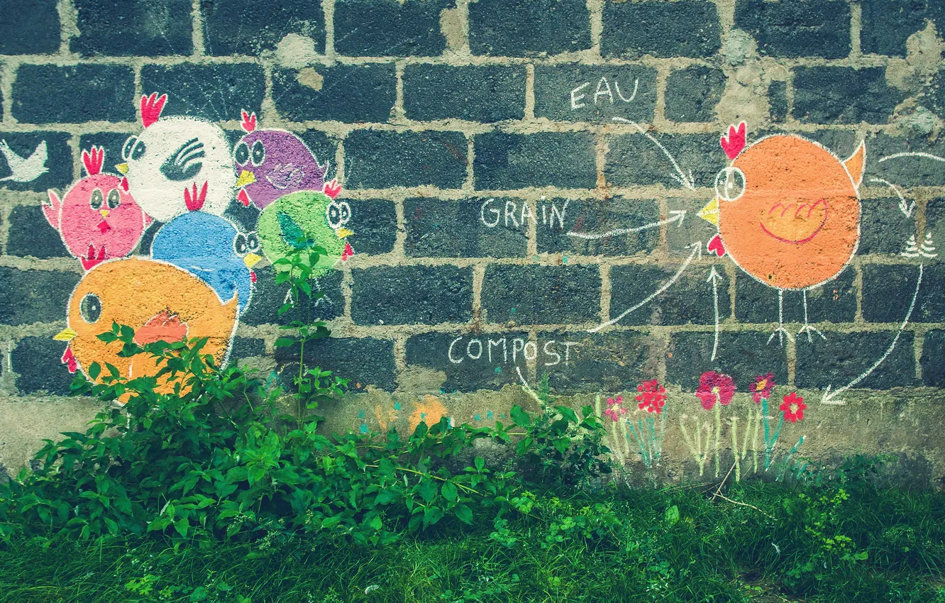 Фото обои трава, цвета, цветы, стена, граффити, голубь, кусты, куры