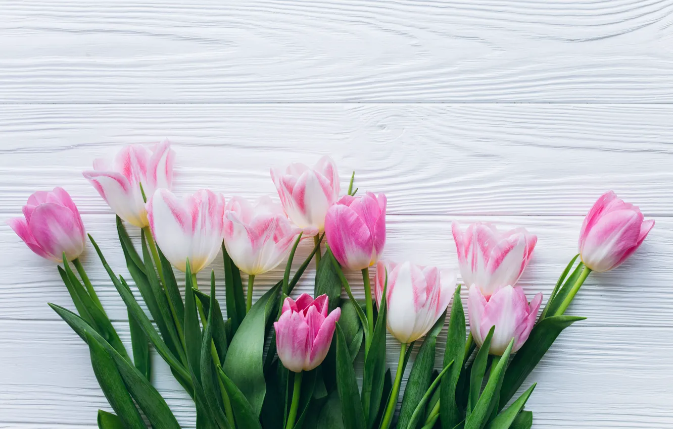 Фото обои цветы, тюльпаны, розовые, fresh, wood, pink, flowers, beautiful