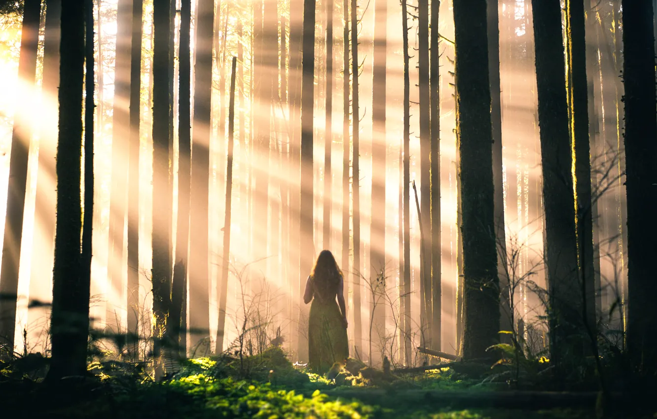 Фото обои лес, девушка, лучи, деревья, Lizzy Gadd, Sleepwalking