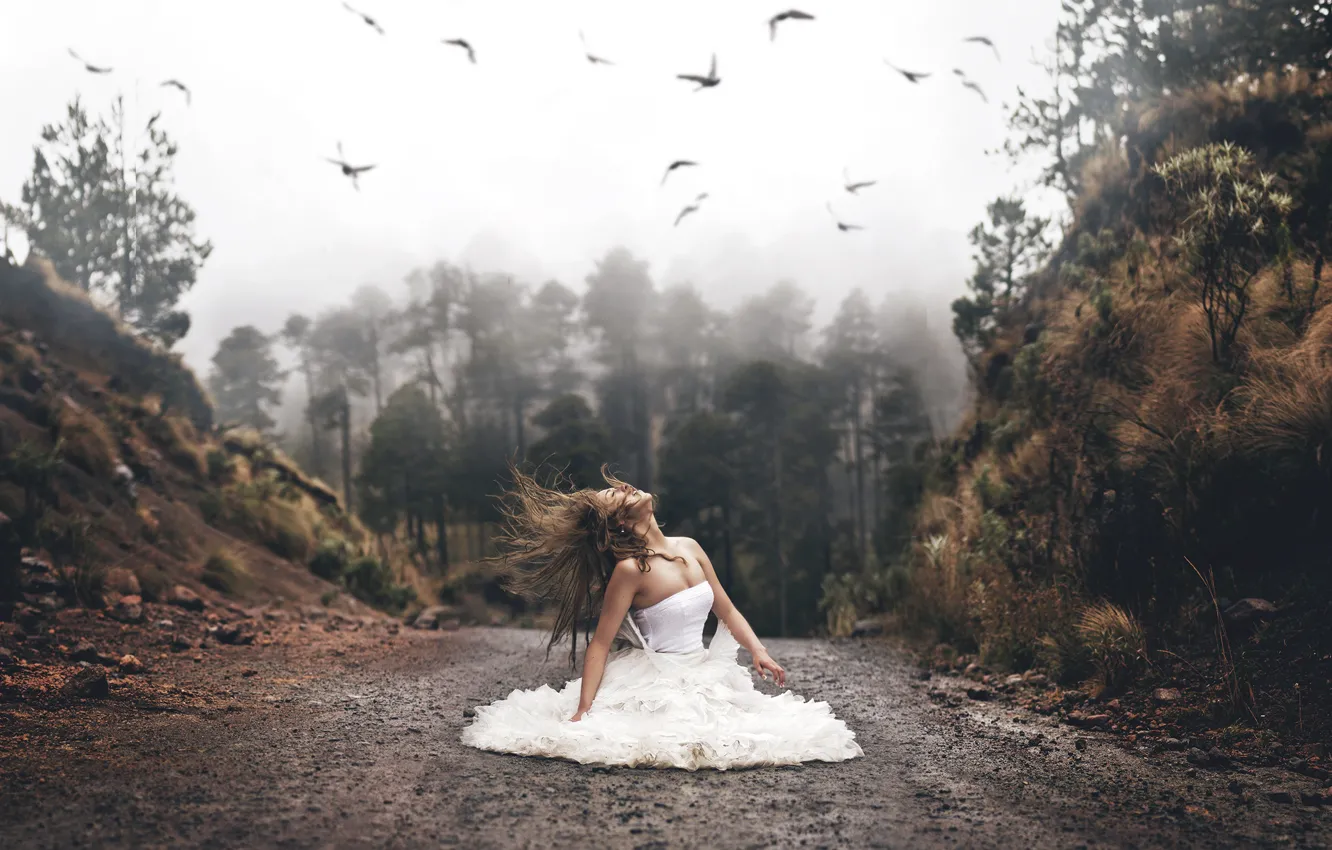 Фото обои дорога, лес, девушка, птицы, настроение, волосы, ситуация, платье
