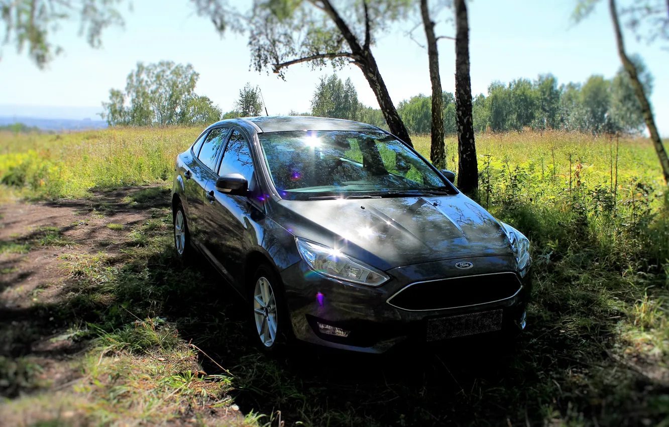 Фото обои Ford, Focus, магнетик